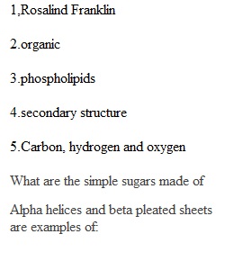 Quiz Week 4